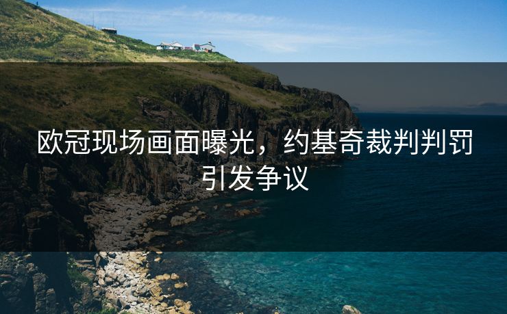 欧冠现场画面曝光，约基奇裁判判罚引发争议