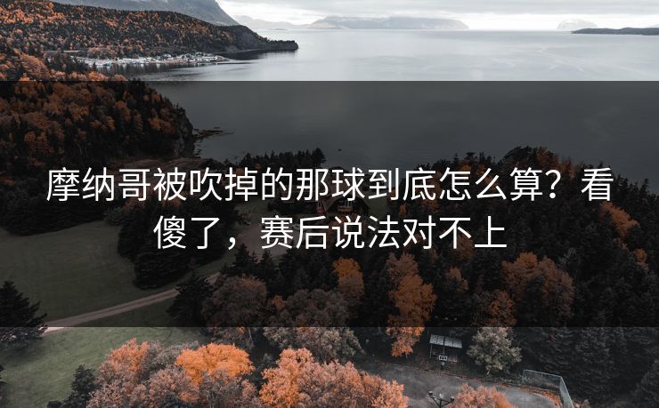 摩纳哥被吹掉的那球到底怎么算？看傻了，赛后说法对不上